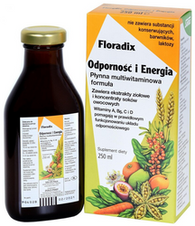 Floradix Odporność i Energia 250ml